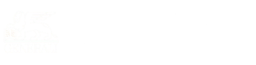 logo_romanuovosalario
